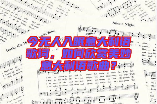 今無人入眠意大利語歌詞，如何欣賞美妙意大利語歌曲？