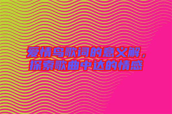 愛情鳥歌詞的意義解，探索歌曲中達(dá)的情感