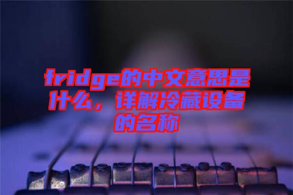 fridge的中文意思是什么，詳解冷藏設備的名稱