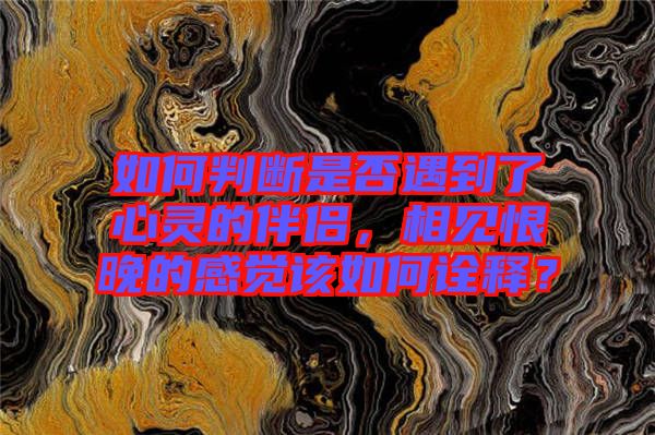 如何判斷是否遇到了心靈的伴侶，相見恨晚的感覺該如何詮釋？