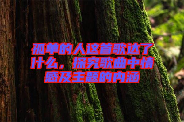 孤單的人這首歌達(dá)了什么，探究歌曲中情感及主題的內(nèi)涵