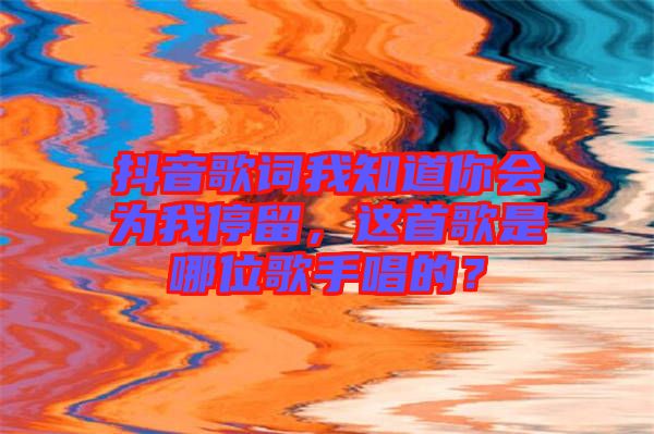 抖音歌詞我知道你會為我停留，這首歌是哪位歌手唱的？