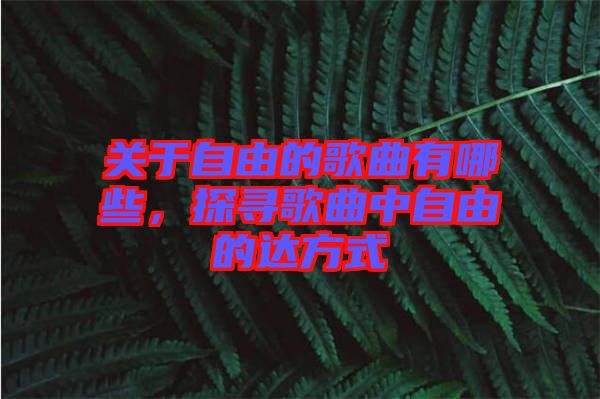 關(guān)于自由的歌曲有哪些，探尋歌曲中自由的達方式