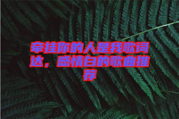 牽掛你的人是我歌詞達(dá)，感情白的歌曲推薦