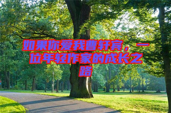 如果你愛我曹軒賓，一位年輕作家的成長(zhǎng)之路