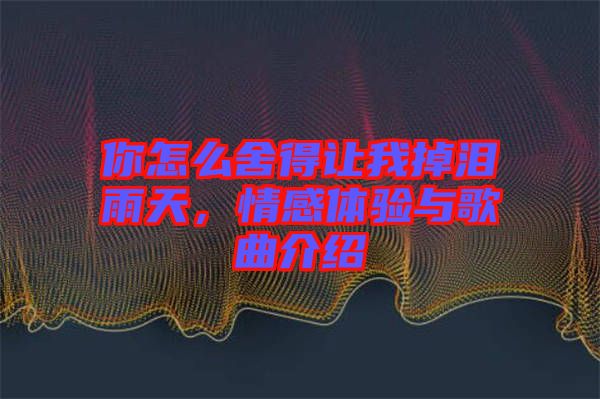 你怎么舍得讓我掉淚雨天，情感體驗(yàn)與歌曲介紹