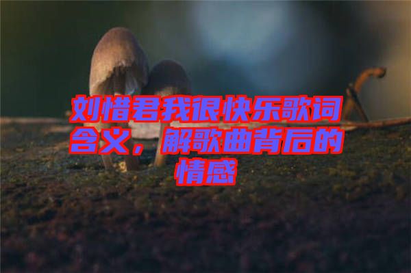 劉惜君我很快樂歌詞含義，解歌曲背后的情感