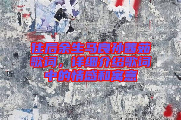 往后余生馬良孫茜茹歌詞，詳細介紹歌詞中的情感和寓意