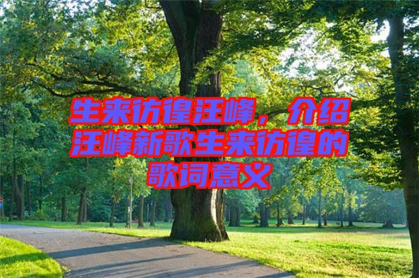 生來(lái)彷徨汪峰，介紹汪峰新歌生來(lái)彷徨的歌詞意義