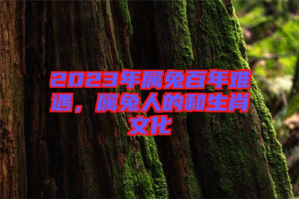 2023年屬兔百年難遇，屬兔人的和生肖文化