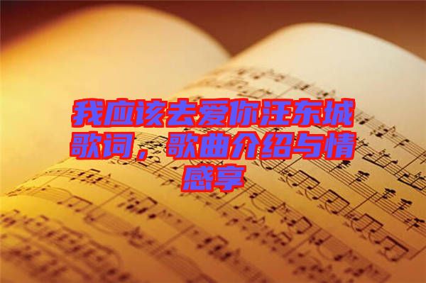 我應(yīng)該去愛(ài)你汪東城歌詞，歌曲介紹與情感享