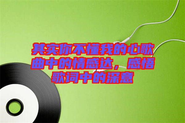 其實你不懂我的心歌曲中的情感達(dá)，感悟歌詞中的深意