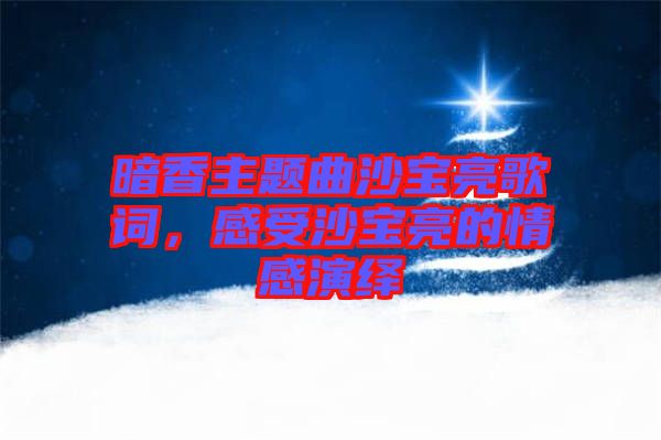 暗香主題曲沙寶亮歌詞，感受沙寶亮的情感演繹