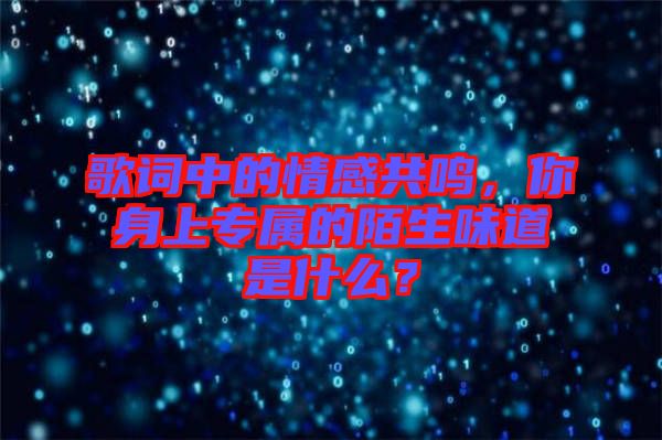 歌詞中的情感共鳴，你身上專屬的陌生味道是什么？