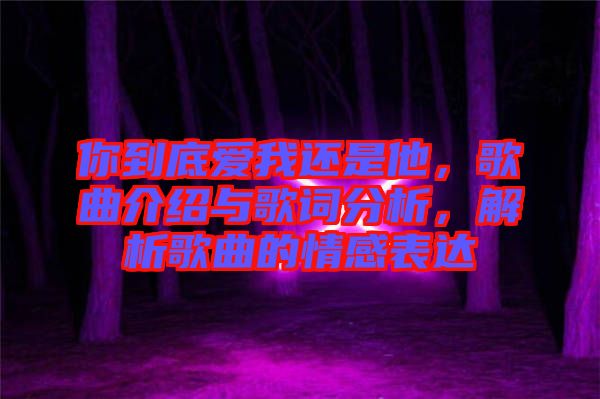 你到底愛(ài)我還是他，歌曲介紹與歌詞分析，解析歌曲的情感表達(dá)