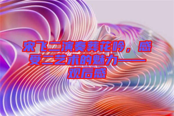 宋飛二演奏葬花吟，感受二藝術(shù)的魅力——觀后感