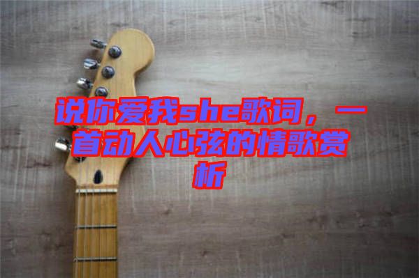 說你愛我she歌詞，一首動人心弦的情歌賞析