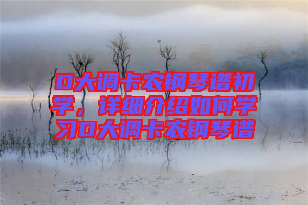 D大調(diào)卡農(nóng)鋼琴譜初學(xué)，詳細(xì)介紹如何學(xué)習(xí)D大調(diào)卡農(nóng)鋼琴譜