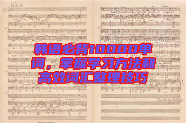 韓語(yǔ)必背10000單詞，掌握學(xué)習(xí)方法和高效詞匯整理技巧