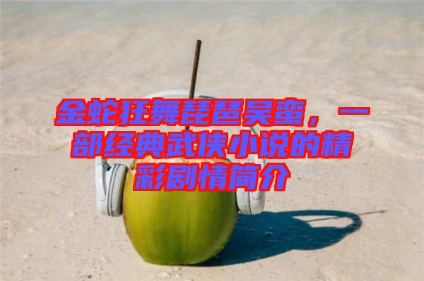 金蛇狂舞琵琶吳蠻，一部經(jīng)典武俠小說的精彩劇情簡(jiǎn)介