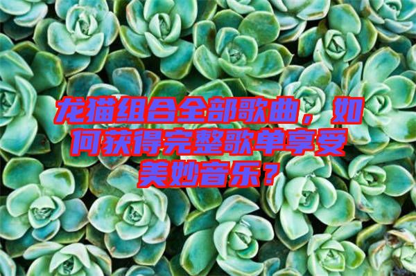 龍貓組合全部歌曲，如何獲得完整歌單享受美妙音樂？