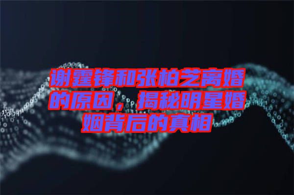 謝霆鋒和張柏芝離婚的原因，揭秘明星婚姻背后的真相