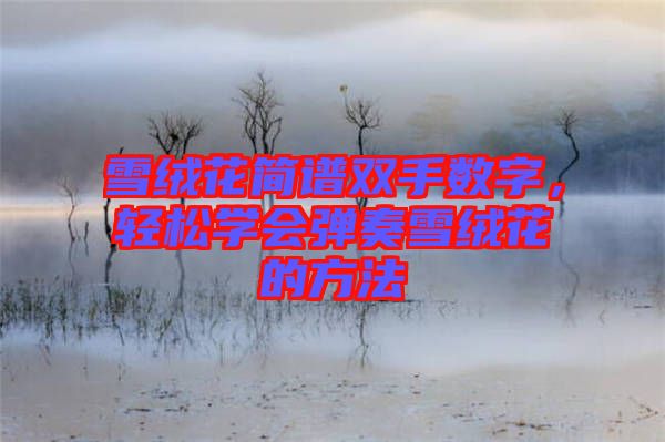 雪絨花簡譜雙手?jǐn)?shù)字，輕松學(xué)會(huì)彈奏雪絨花的方法