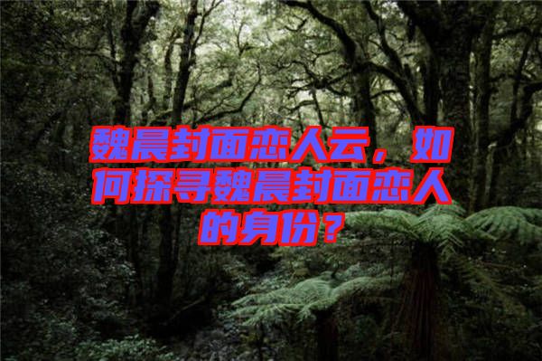 魏晨封面戀人云，如何探尋魏晨封面戀人的身份？