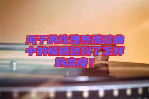 風干的玫瑰陳瑞歌曲中的情感達到了怎樣的高度？