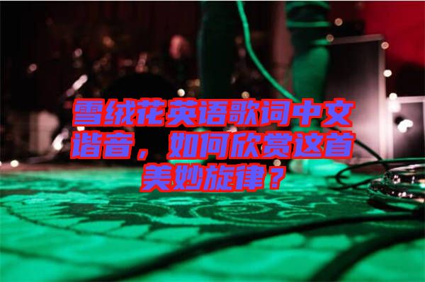 雪絨花英語歌詞中文諧音，如何欣賞這首美妙旋律？