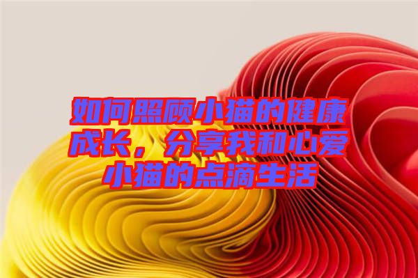 如何照顧小貓的健康成長(zhǎng)，分享我和心愛(ài)小貓的點(diǎn)滴生活