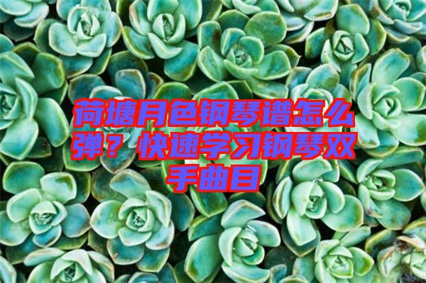 荷塘月色鋼琴譜怎么彈？快速學(xué)習鋼琴雙手曲目