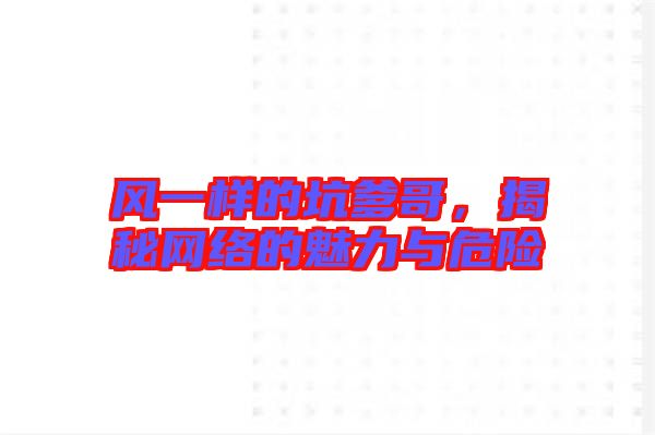 風(fēng)一樣的坑爹哥，揭秘網(wǎng)絡(luò)的魅力與危險