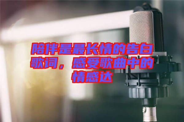 陪伴是最長情的告白歌詞，感受歌曲中的情感達